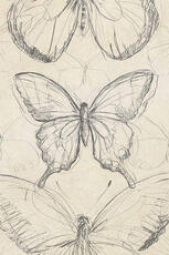 do you feel the butterflies too?